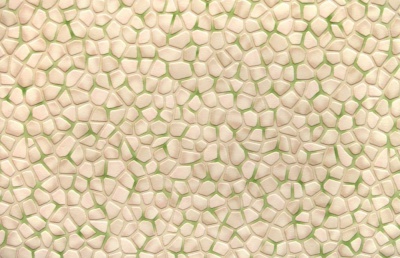 Обои Elysium 91009  виниловые моющиеся (ингибирование) 0,53м*10 Камешки