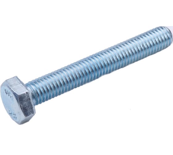 Болт М10* 80 DIN933