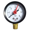 Манометр верт. 1/4" 6bar CTM (радиальный)